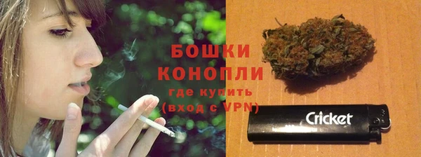 дживик Ступино