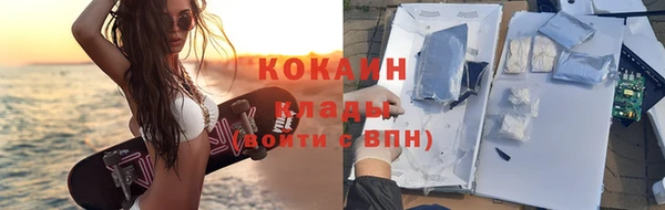твердый Арсеньев
