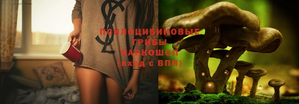 бошки Аркадак