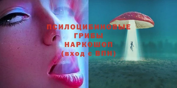 твердый Арсеньев