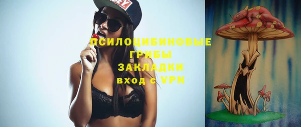 бошки Аркадак