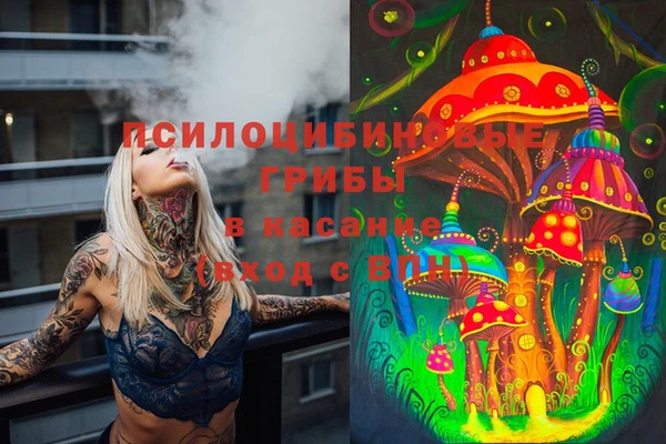 твердый Арсеньев