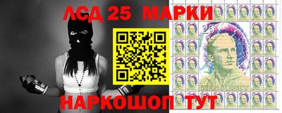 PSILOCYBIN Можайск