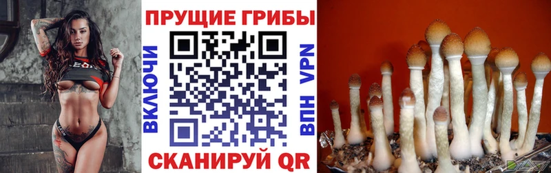 Псилоцибиновые грибы ЛСД Электрогорск