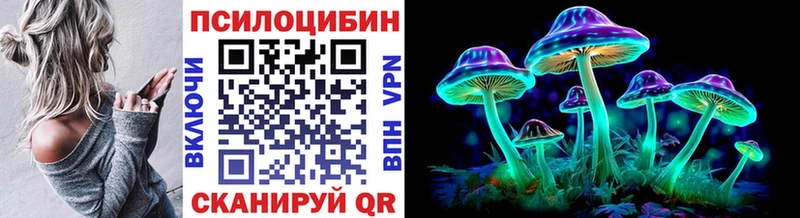 наркошоп  Электрогорск  Псилоцибиновые грибы прущие грибы 