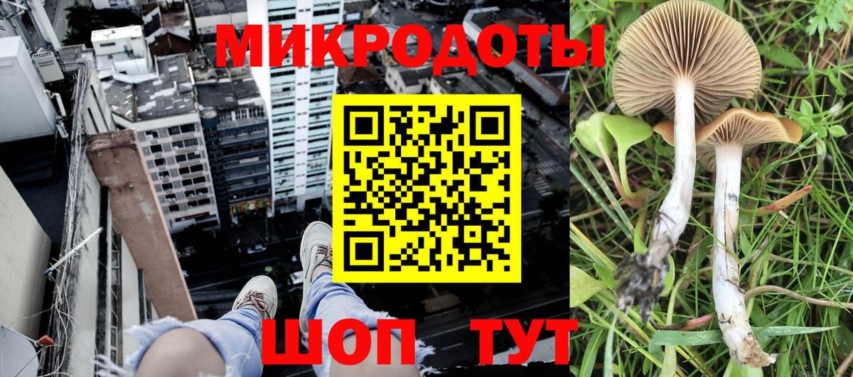Псилоцибиновые грибы мухоморы  Вход с VPN  Электрогорск 