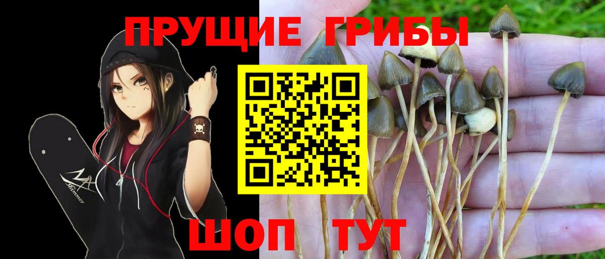 Псилоцибиновые грибы MAGIC MUSHROOMS Электрогорск